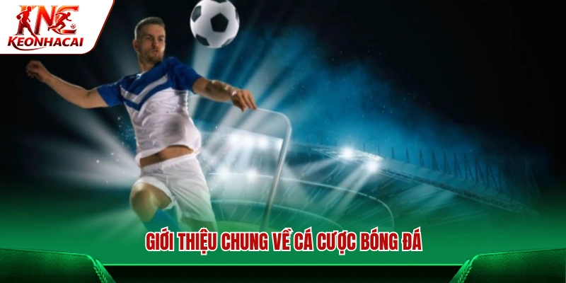 Bao quát về hình thức cá cược bóng đá